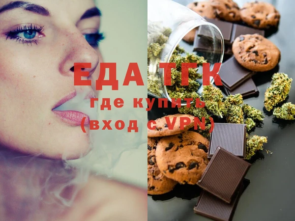 гашик Инта