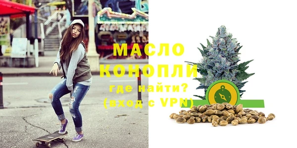 гашик Инта