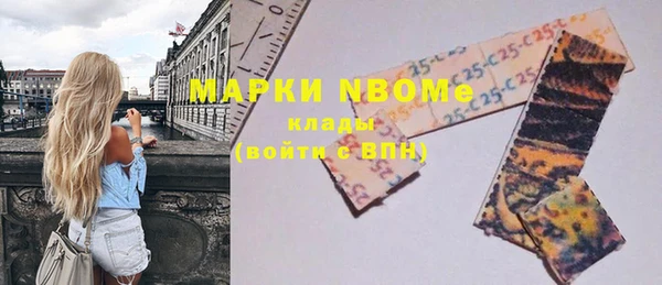 гашик Инта