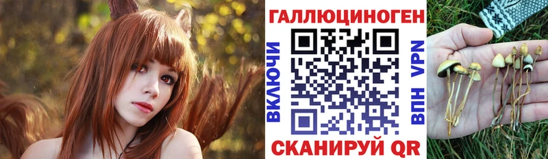 Псилоцибиновые грибы мицелий  Купить  Заволжье 